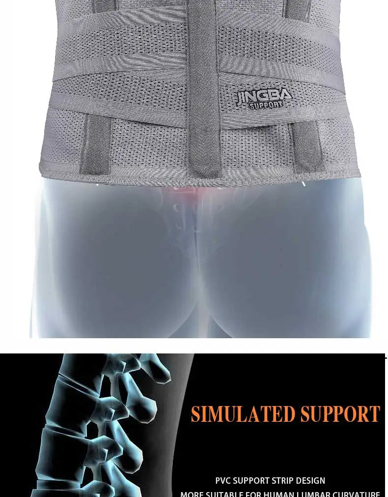 Fitness Waist & Lumbar Support Belt